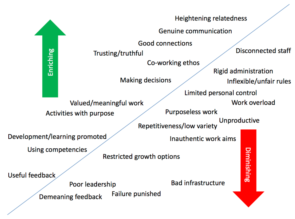 Headline organisational enrichers or diminishers Actions that support or undermine human flourishing at work. Endeavour Consulting Geneva